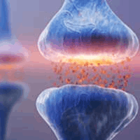 GABA is a natural neurotransmitter that promotes relaxation 