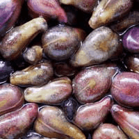 Grape Seed Extract is rich in antioxidants, 