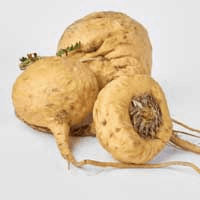 Maca Root is an adaptogenic herb traditionally